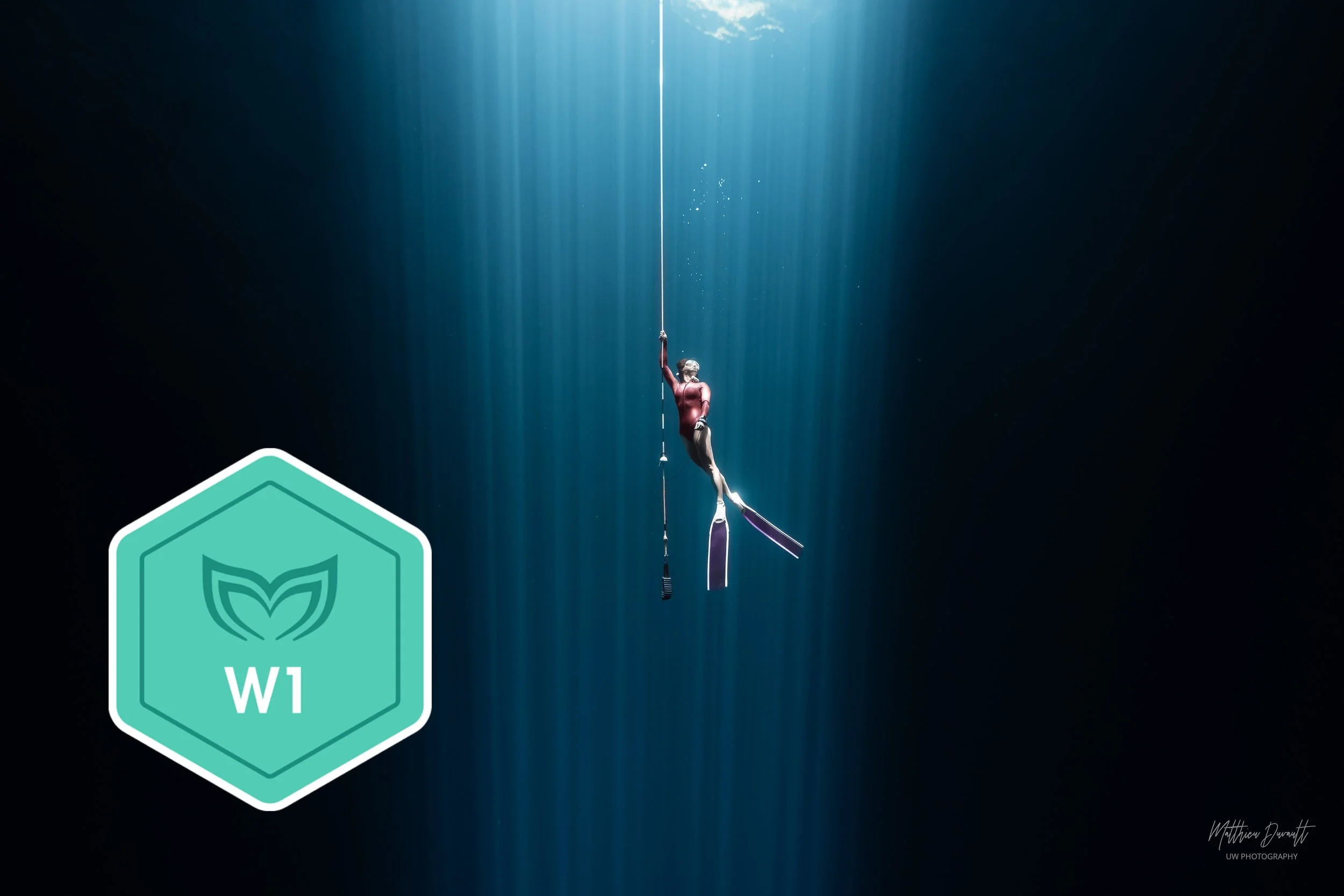 دوره فری‌دایوینگ مقدماتی (سطح ۱) | Molchanoves Wave 1